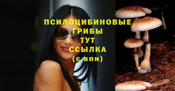 PSILOCYBIN Кукмор