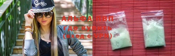 PSILOCYBIN Кукмор