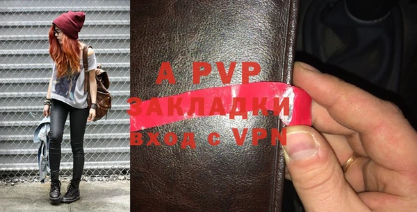 индика Кулебаки