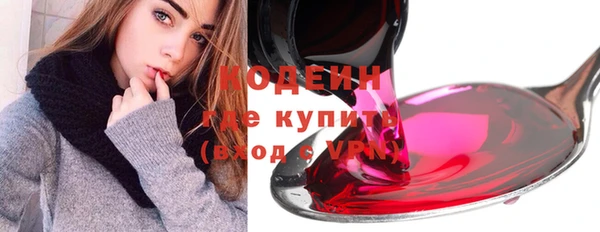 индика Кулебаки