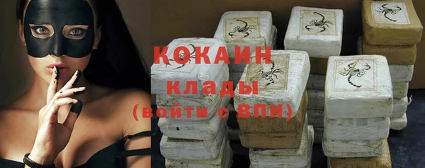 индика Кулебаки