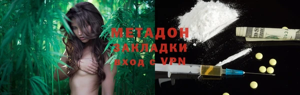 индика Кулебаки