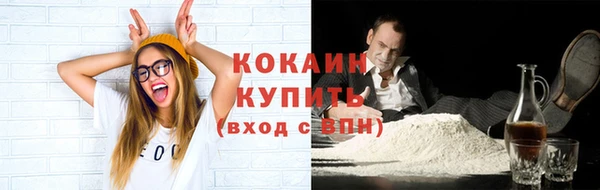 индика Кулебаки