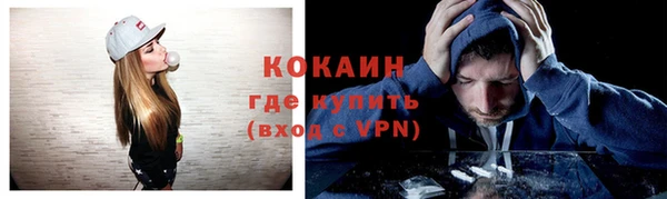 индика Кулебаки