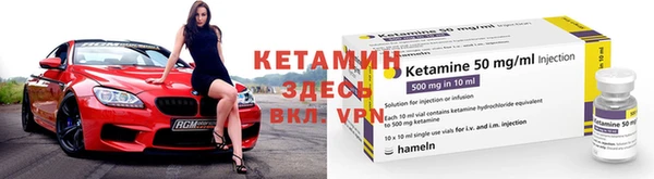 индика Кулебаки