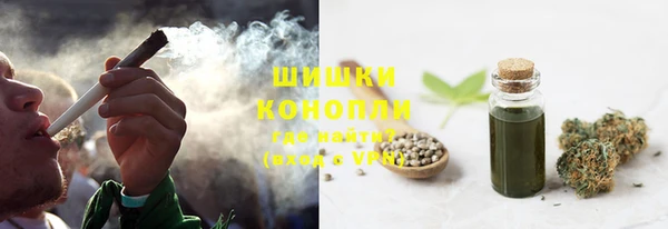 PSILOCYBIN Кукмор