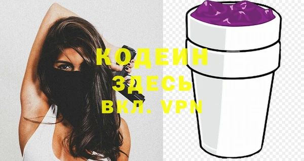 индика Кулебаки