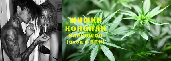индика Кулебаки