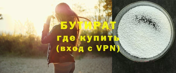 индика Кулебаки