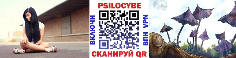 Купить где  Игра  Галлюциногенные грибы мицелий 
